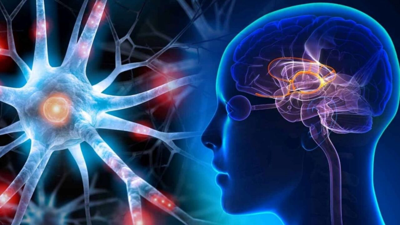 5-HTP ve Serotonin: Ruh Halinizi Nasıl Etkiliyor?