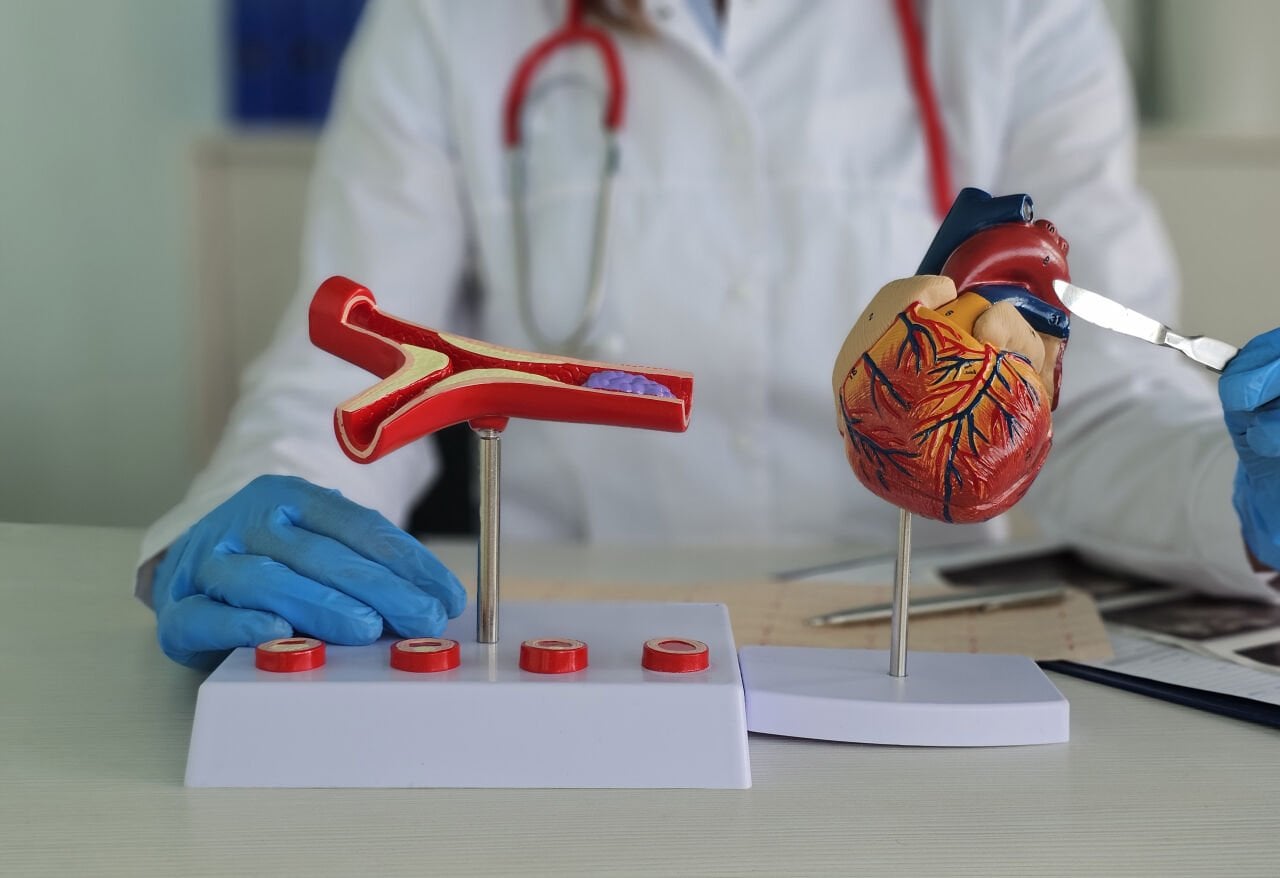 Kolesterol Nedir? Türleri ve Sağlık Açısından Önemi