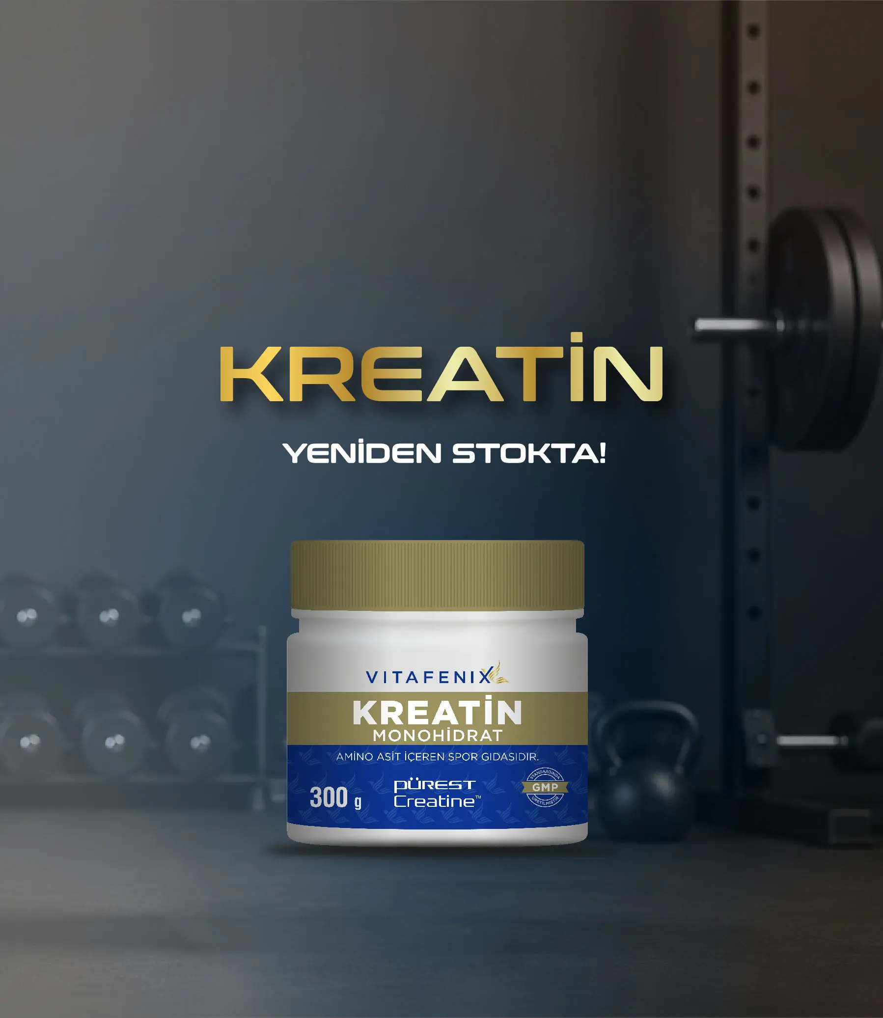 Vitafenix - İnovatif ve Sinerjik Etkili Kombinasyonlar